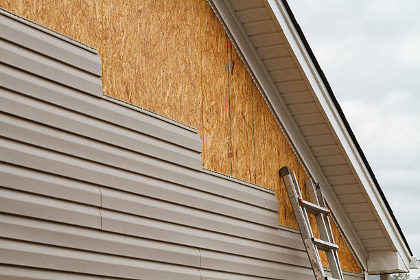 Professional Siding Repair technician working in Arvonia, VA